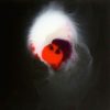Anders Wallin Red-dot