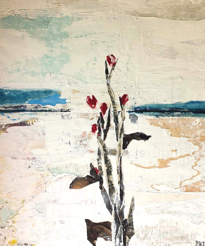 Johanna Stuart - Knoppar